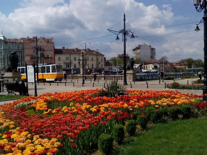 Alexander Business Apartments Sofia Bulgaria