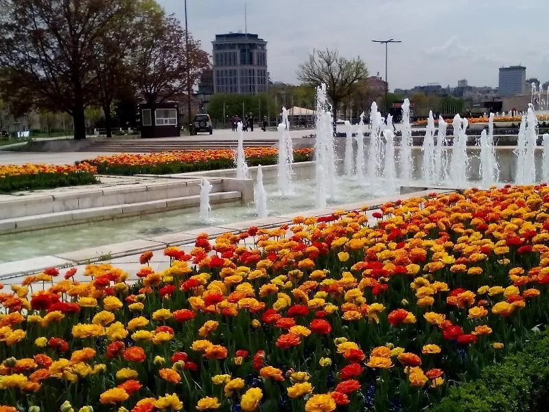 Alexander Business Apartments Sofia